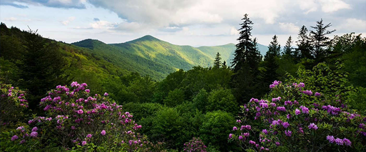 View of the mountain wilderness.