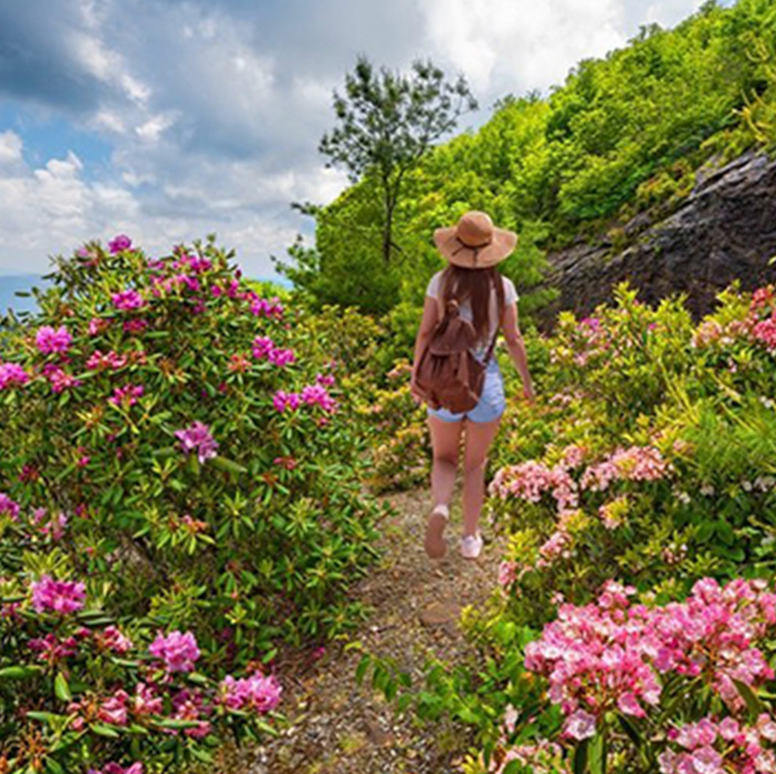 Woman walking on a mountain side with blooming flowers.