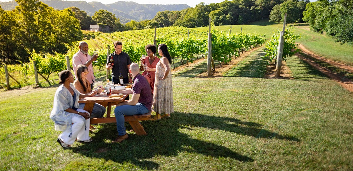 Colleagues at a wine-tasting in a vineyard.