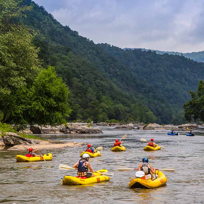 A group of individuals out kayaking on a river.