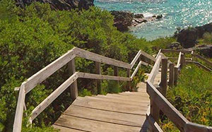 Wooden steps down a hill along, and towards, the coast line. 