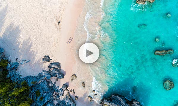 Watch Video