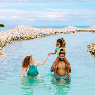 A family swimming in a pool together.