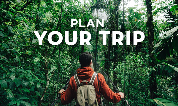 essential Costa Rica - Plan Your Trip