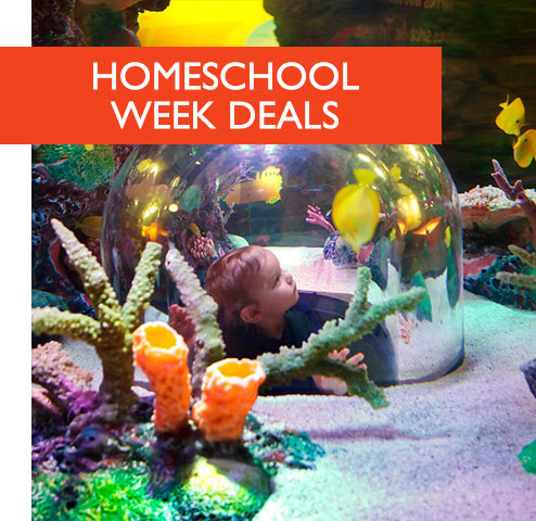 Homeschool week deals