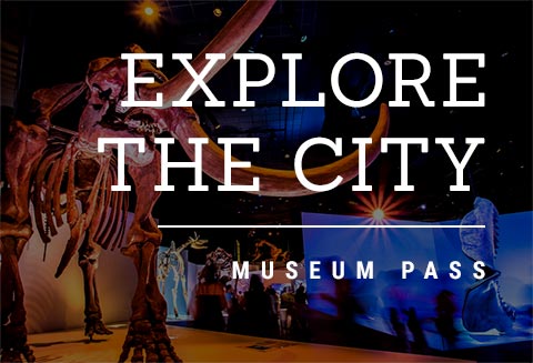 Explore the City Museum Pass