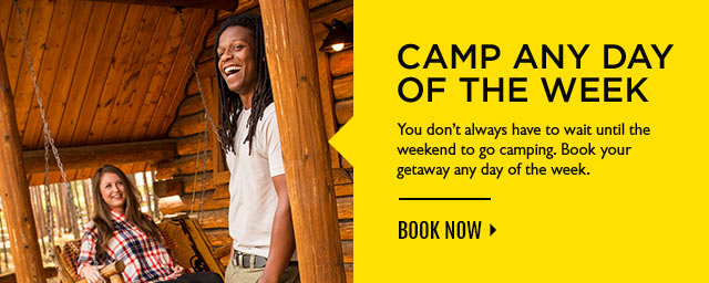 Find your cabin. From Camping Cabins to Delux Cabins, find the one that's right for you. Explore Cabins.
