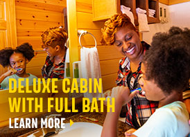 Deluxe cabin with full bath - Book Now