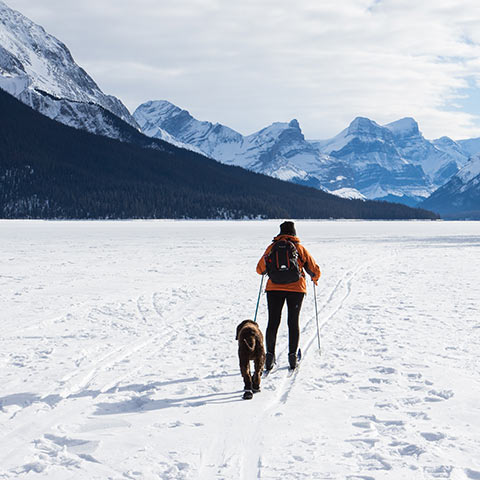 Person cross-country skiing.