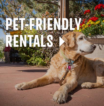 Pet Friendly Rental >