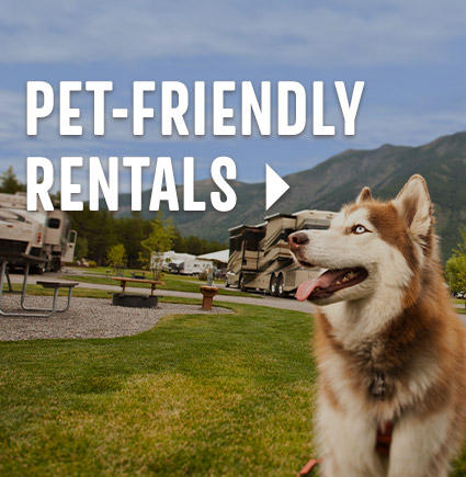 Pet Friendly Rental >