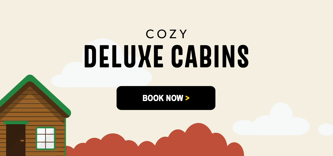 Cozy Deluxe Cabins. Book Now!
