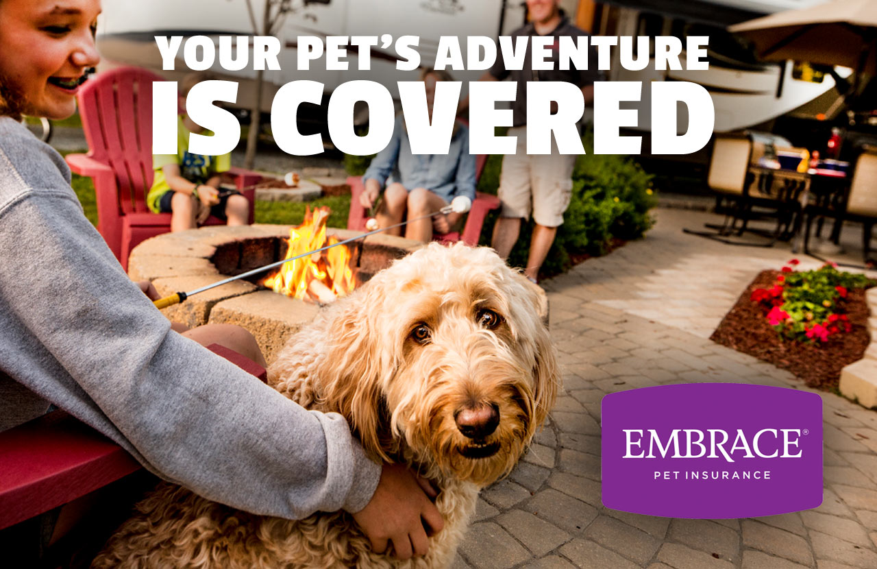 Your pet's adventure is covered - Embrace Pet Insurance