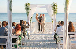 Partner Image