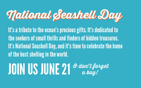 National Seashell Day - Join Us June 21