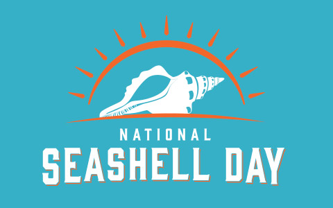 National Seashell Day