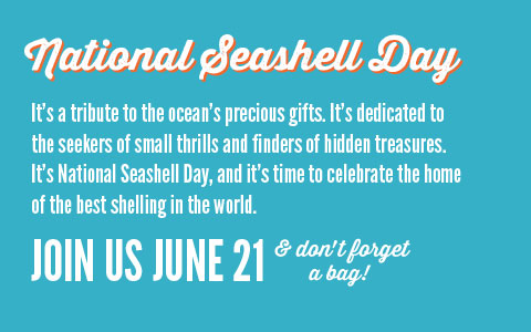 National Seashell Day - Join Us June 21