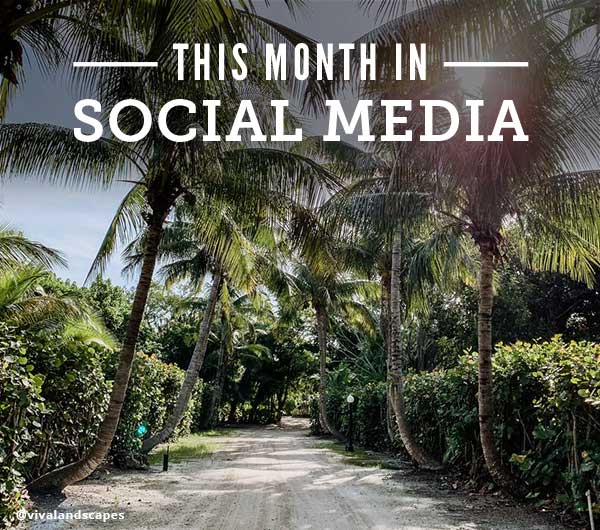 This Month in Social Media