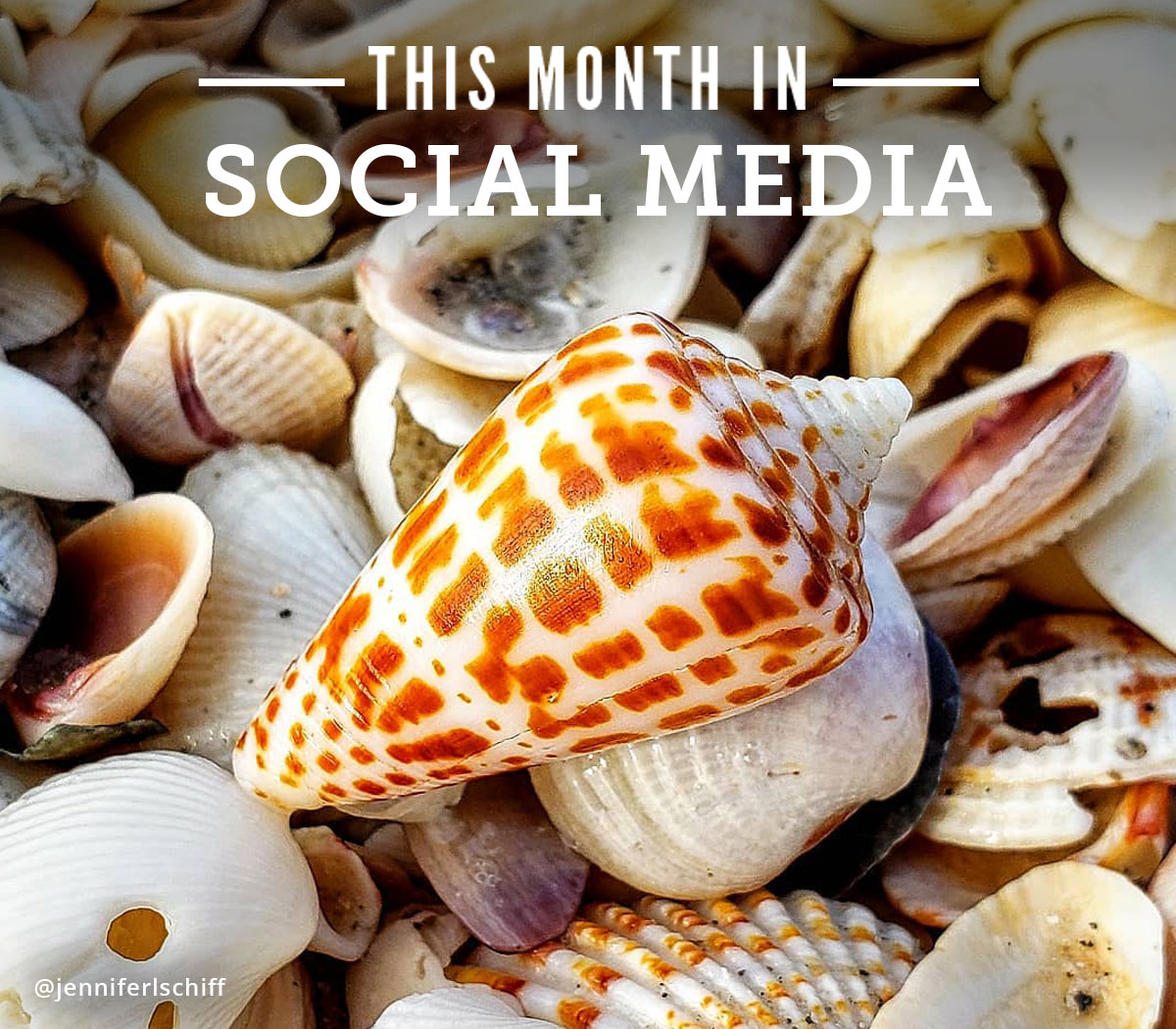 This Month in Social Media