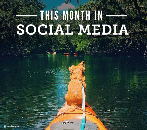This Month in Social Media