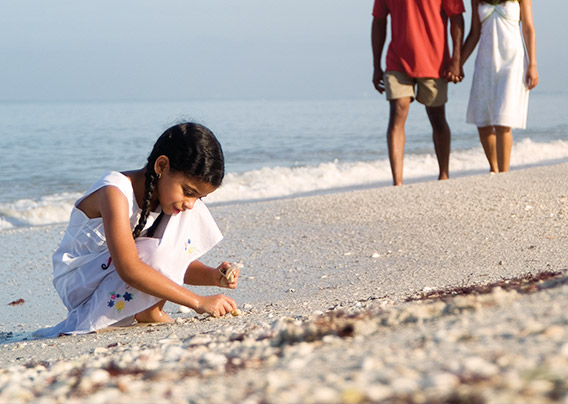 A little girl finding sea shells while her parents walk hand in hand on the beach.