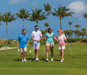 South Seas Island Resort - Group of Colleagues Golfing