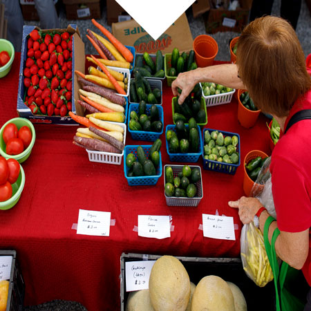 The Farmer's Market is Back in Season