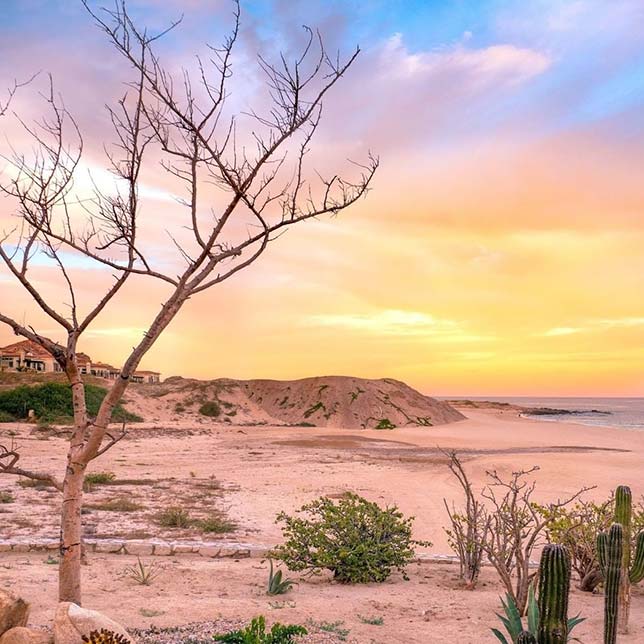 Desert sunset near the coast