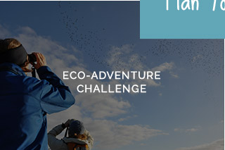 Eco-adventure challenge