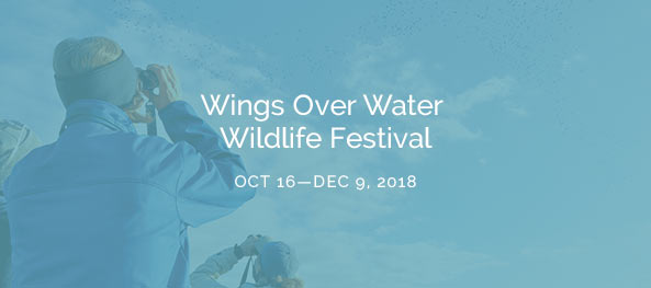 Wings Over Water Wildlife Festival Oct 16—Dec 9, 2018