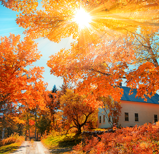Fall foliage in a New England town