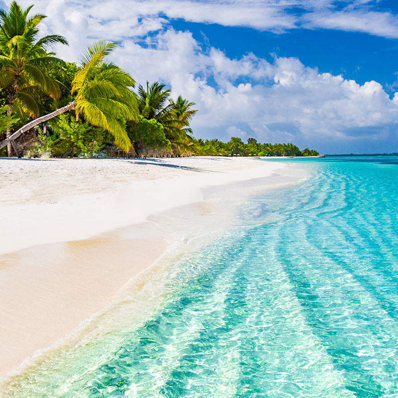 White sandy beaches and bright blue ocean. Click here to book.