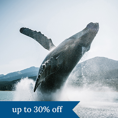 A whale jumps out of the water in Alaska. Click here to book.
