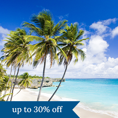 Palm trees line a white-sand beach. Click here to book.