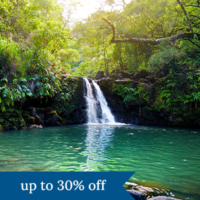 A waterfall surrounded by lush greenery. Click here to book.