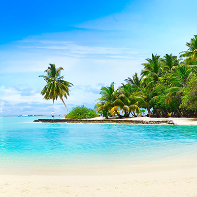 Palm trees on an island beach. Click here to book.