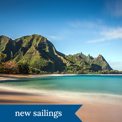 Hawaiian coastline. Click here to book.