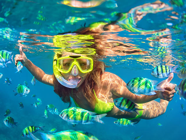 A woman snorkles surrounded by colorful fish. Click here to book.