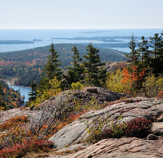 Fall foliage rolling down a rocky coastline in New England. Click here to book.