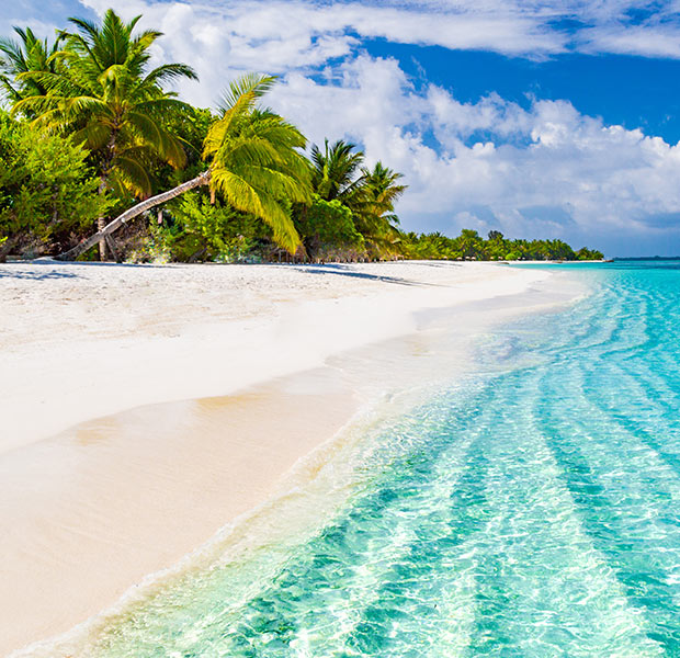 A white sand beach and turquoise water in the Caribbean. Click here to book.