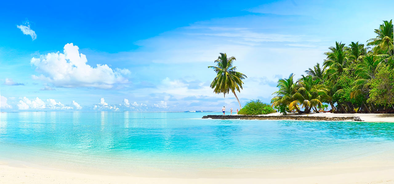 An idyllic tropical beach. Click here to book.