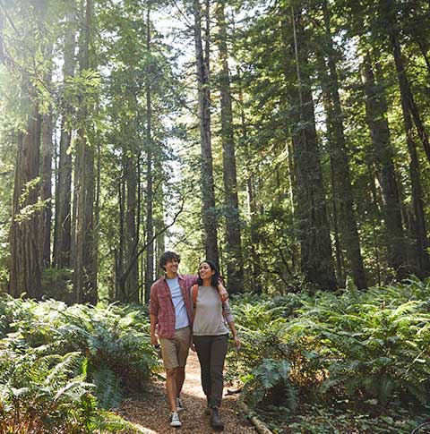 A couple enjoying a walk through the woods.