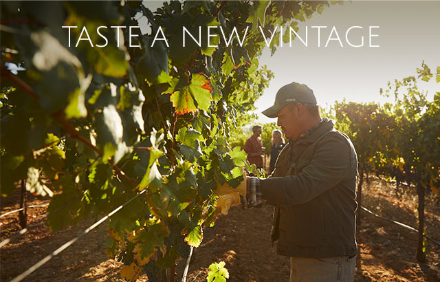 Taste a new vintage.