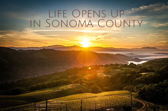 Life Opens Up in Sonoma County