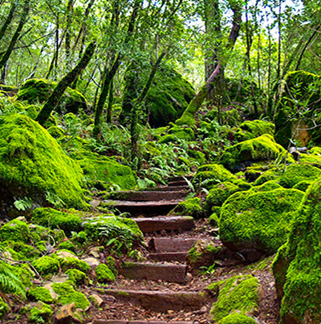 SUGARLOAF RIDGE STATE PARK