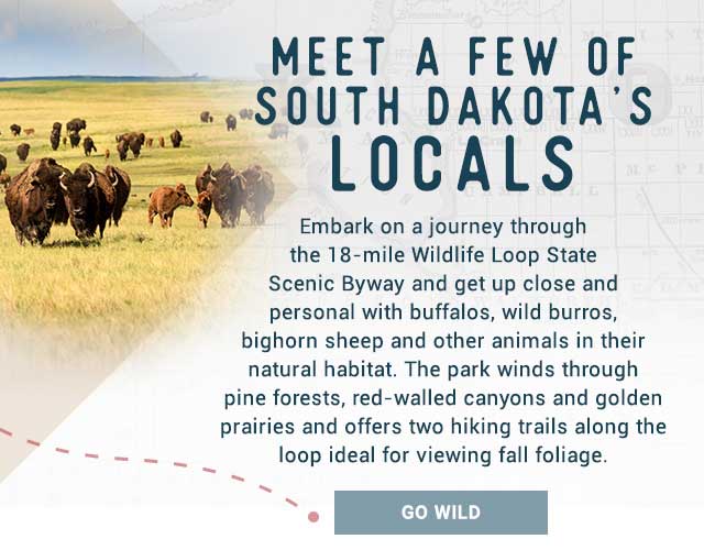 Meet A Few Of South Dakota's Locals