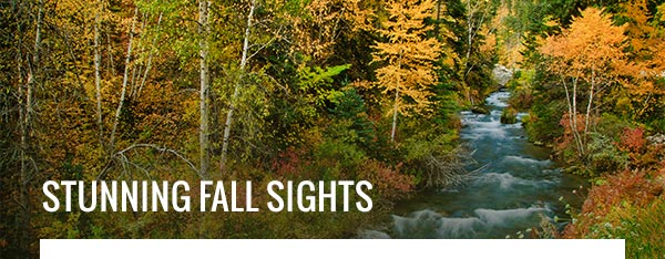 Stunning fall sights. 