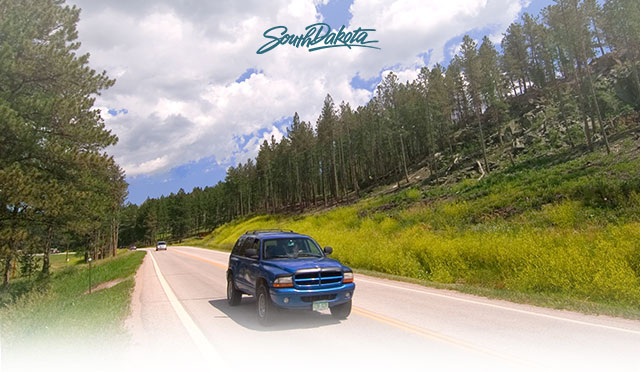 Custer State Park