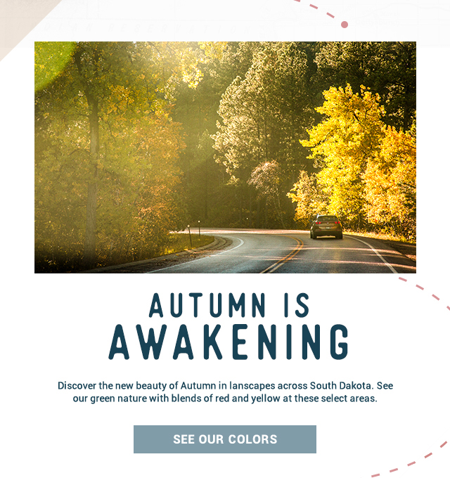 Autumn is awakening! Discover the new beauty of Autumn in landscapes across South Dakota. See our green nature with blends of red and yellow at these select areas. See Our Colors!