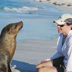 Meeting a seal on the beach